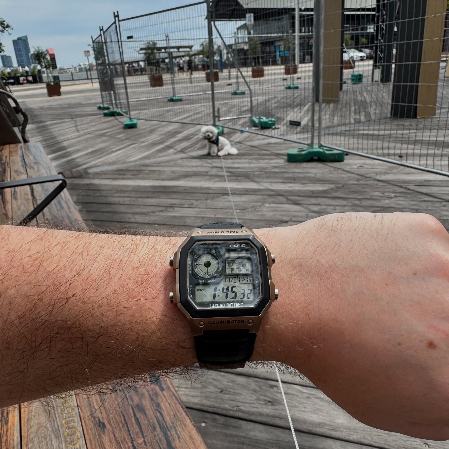 Bronze Casio AE-1200 Royale on a brown two-piece strap worn outdoors