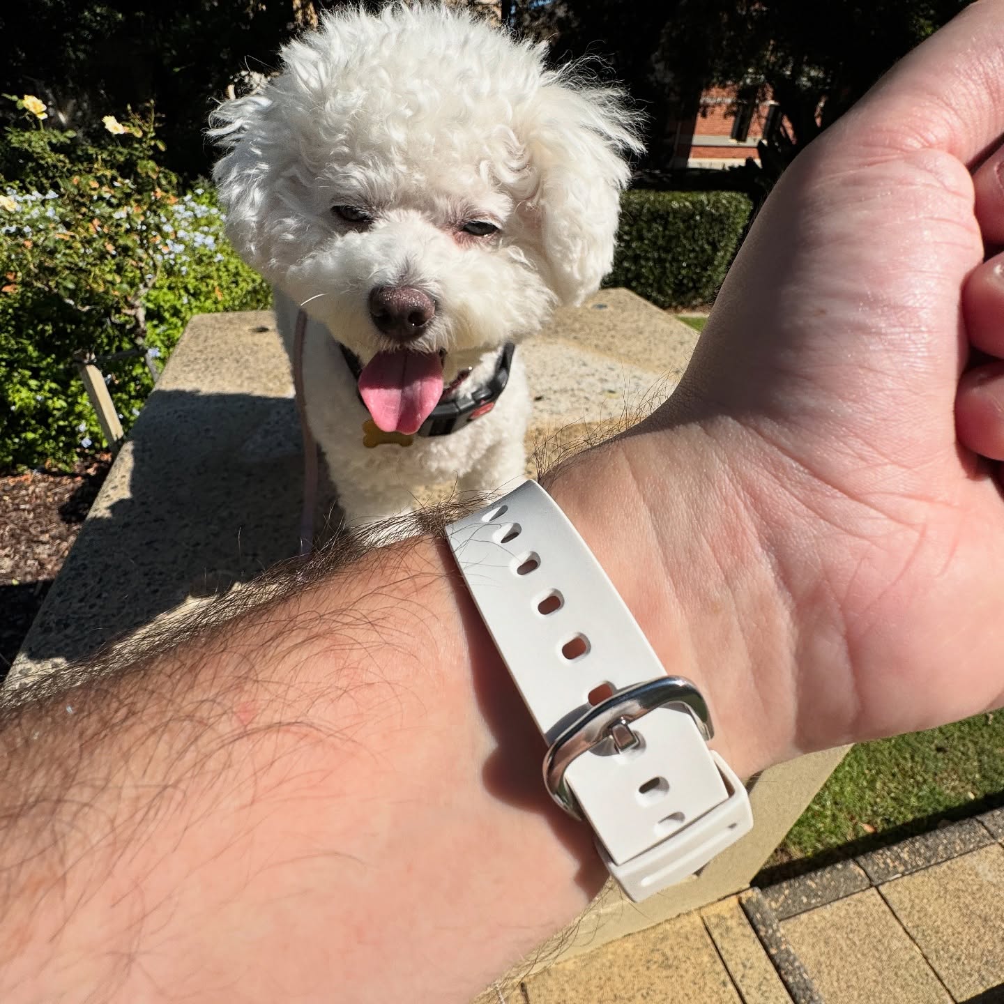 Underside of the white Baby-G BLX-560 strap worn outdoors