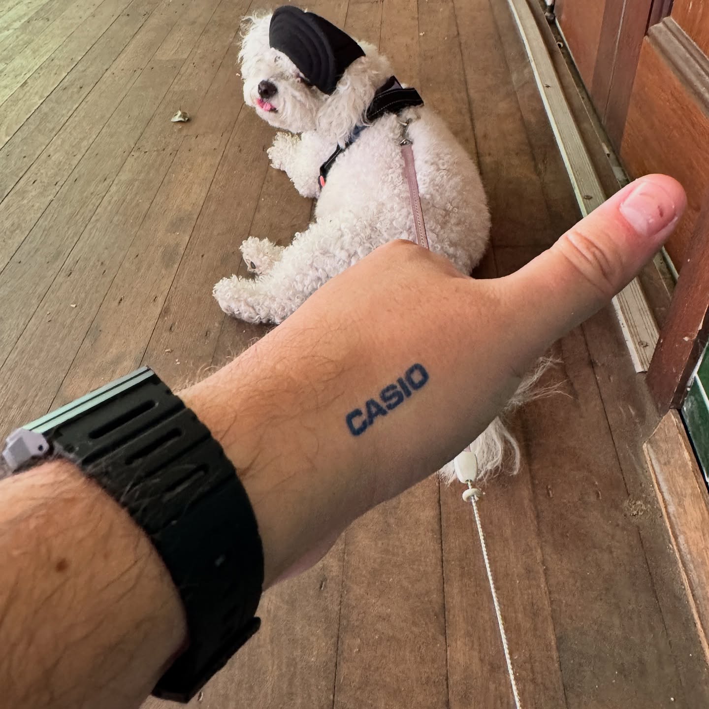 Underside strap view of the Casio CA-53W with Casio wrist tattoo and Bubble the dog