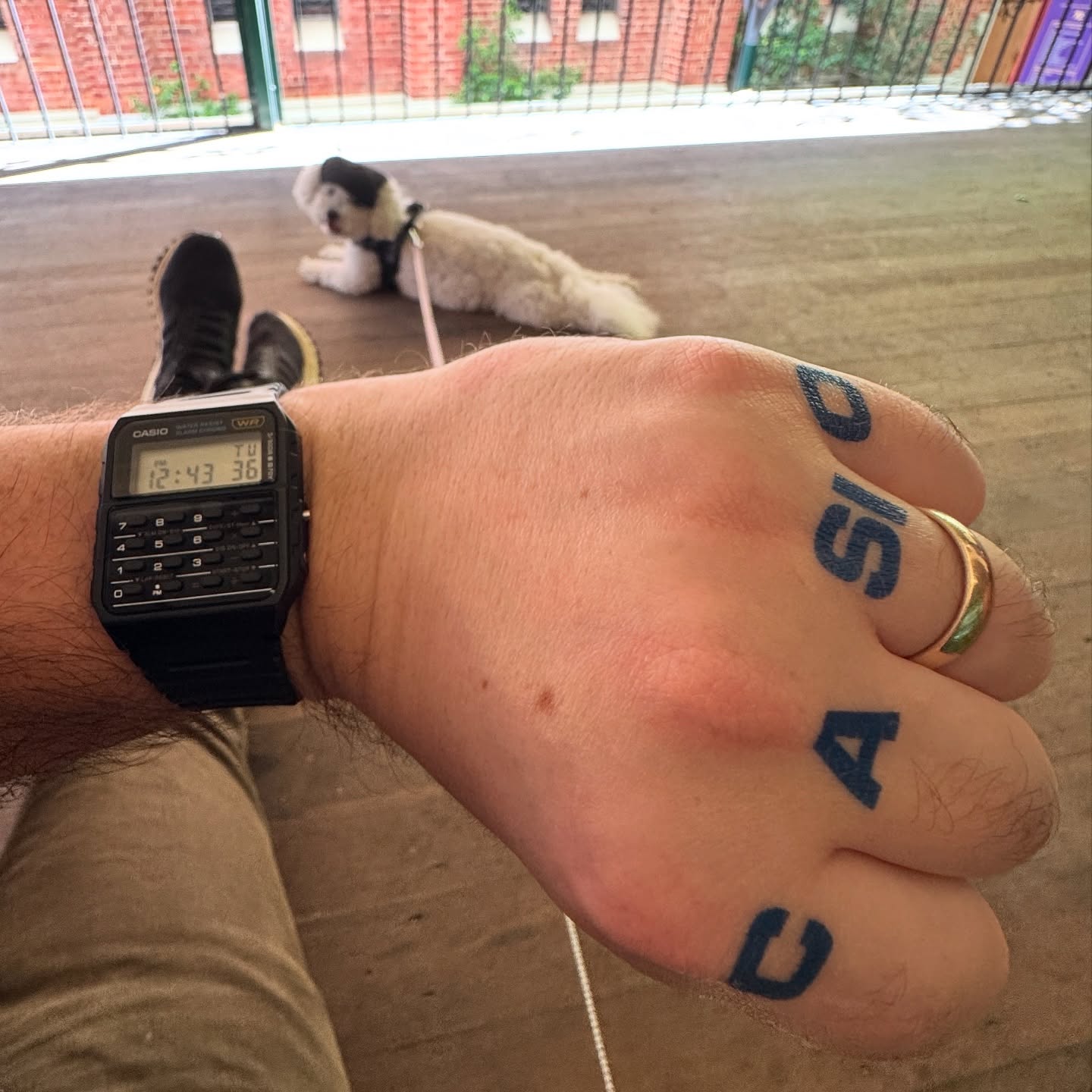 Casio CA-53W calculator watch worn on wrist with Casio tattoos and Bubble the dog in view