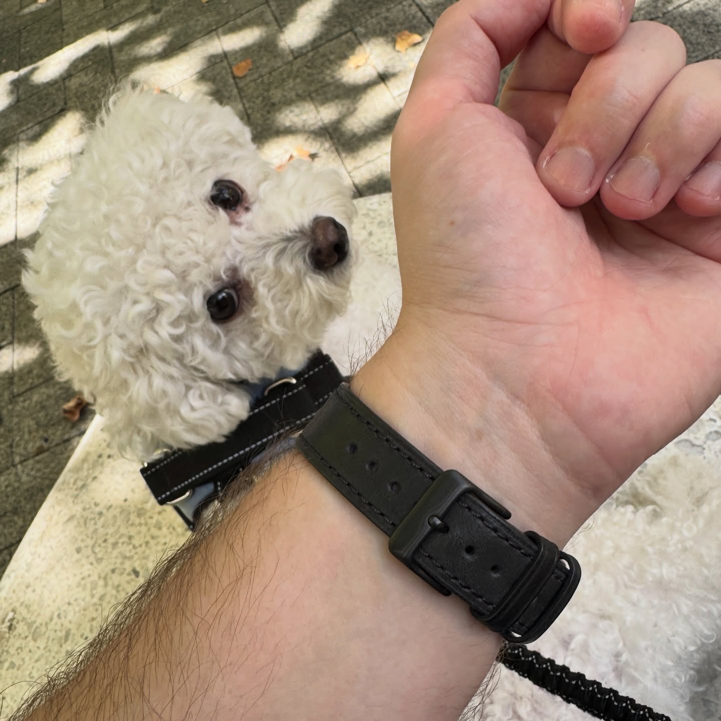 Underside of a black leather strap fitted to a Casio F-91W with Bubble the dog in view