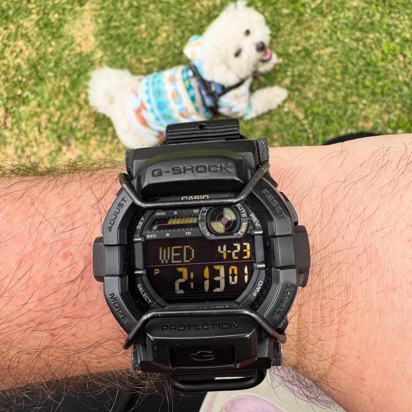 Close on-wrist view of a G-Shock GD-350 fitted with bullbars and a black Zulu strap