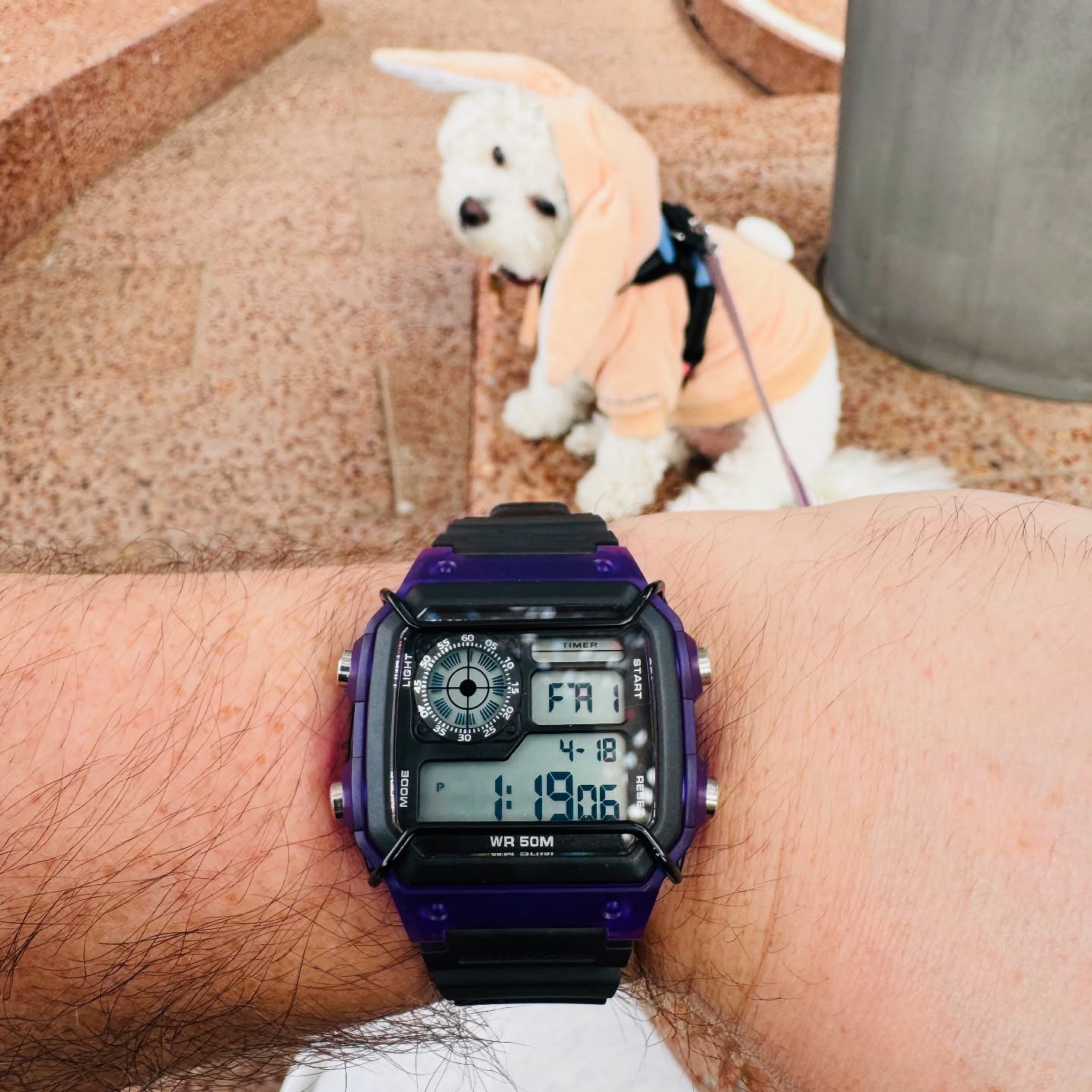 Purple and black SANDA 6133 worn on wrist outdoors