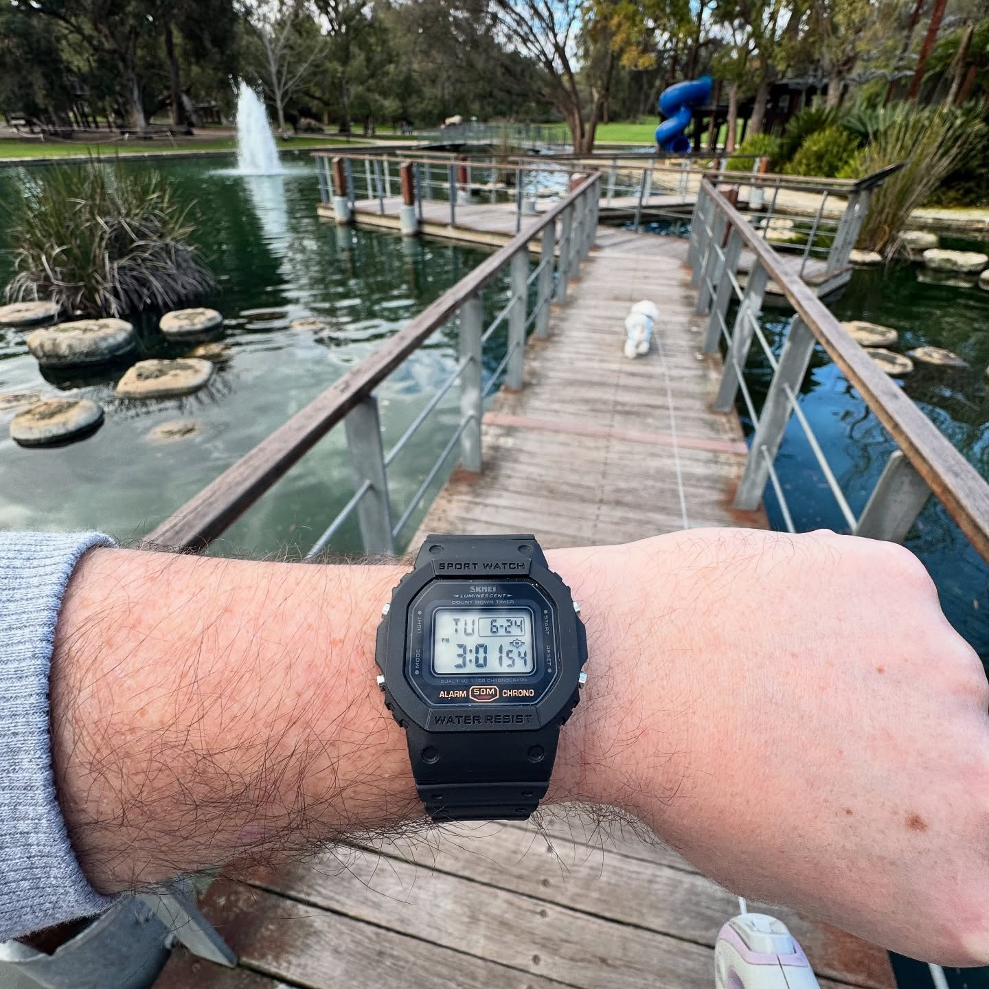 Modified SKMEI 1628 with a positive LCD worn outdoors