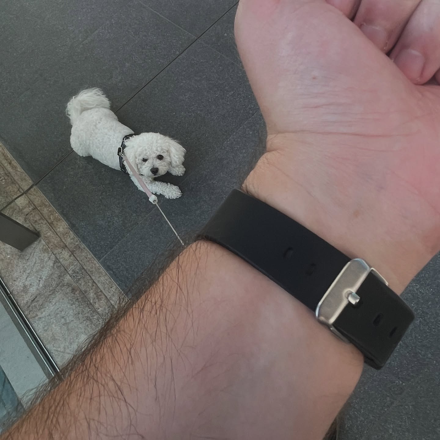 Underside of the black SKMEI 2091 strap with Bubble the dog in view