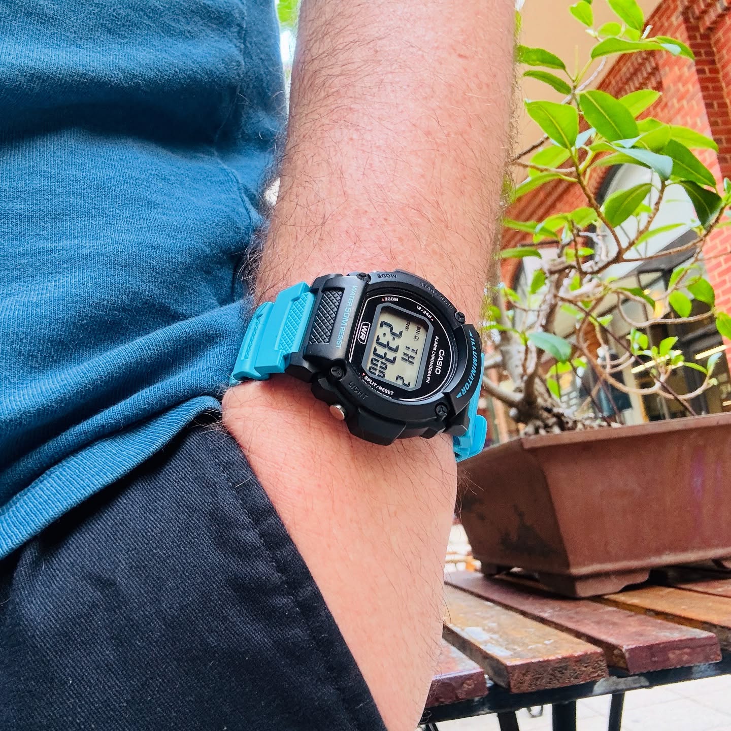 Bright-blue Casio W-219H worn casually on wrist