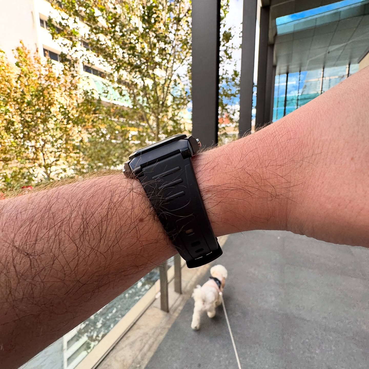 Side and underside view of the Casio W800H resin strap on wrist