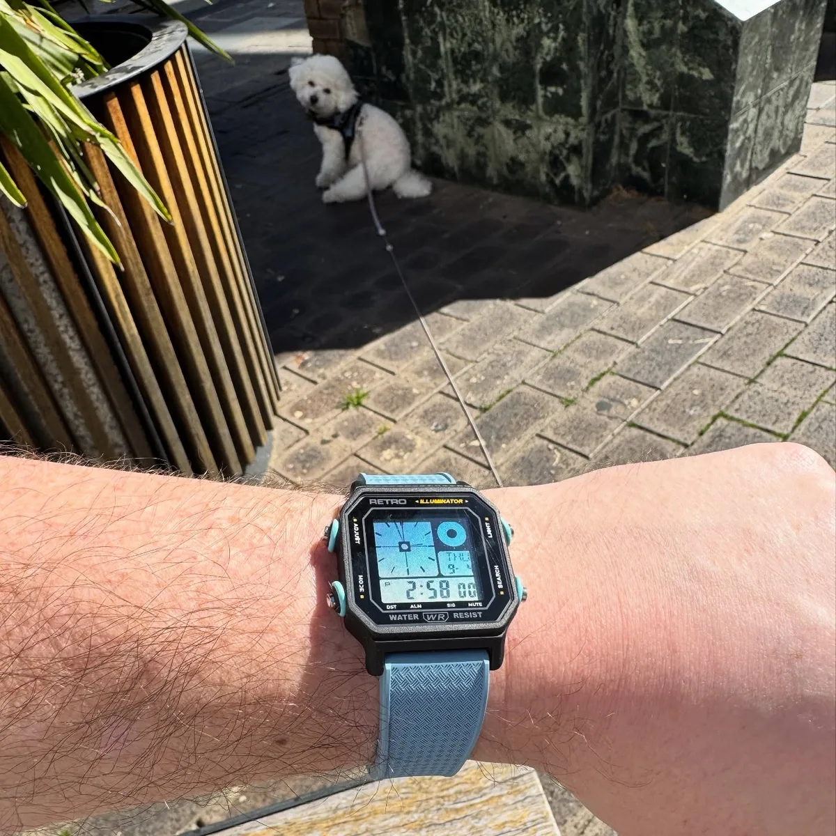 Blue Retro Revamp Casio LF-20W worn outdoors