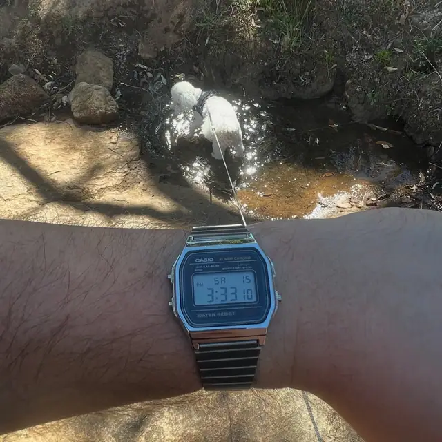Silver Casio A158W worn beside a creek during a hike