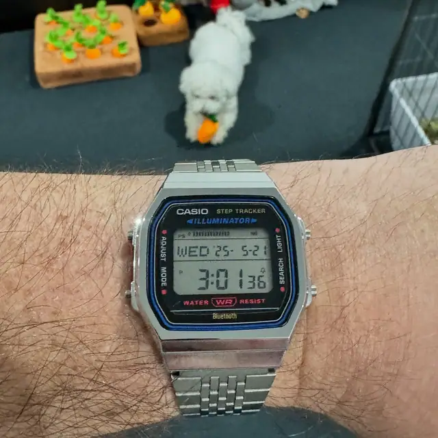 Close view of the Casio ABL-100 face