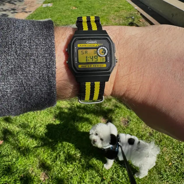 Casio F-94W Bumblebee with a yellow-filtered display and striped NATO strap worn outdoors